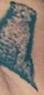 A picture of Cheetah tattoo of Cardi B.